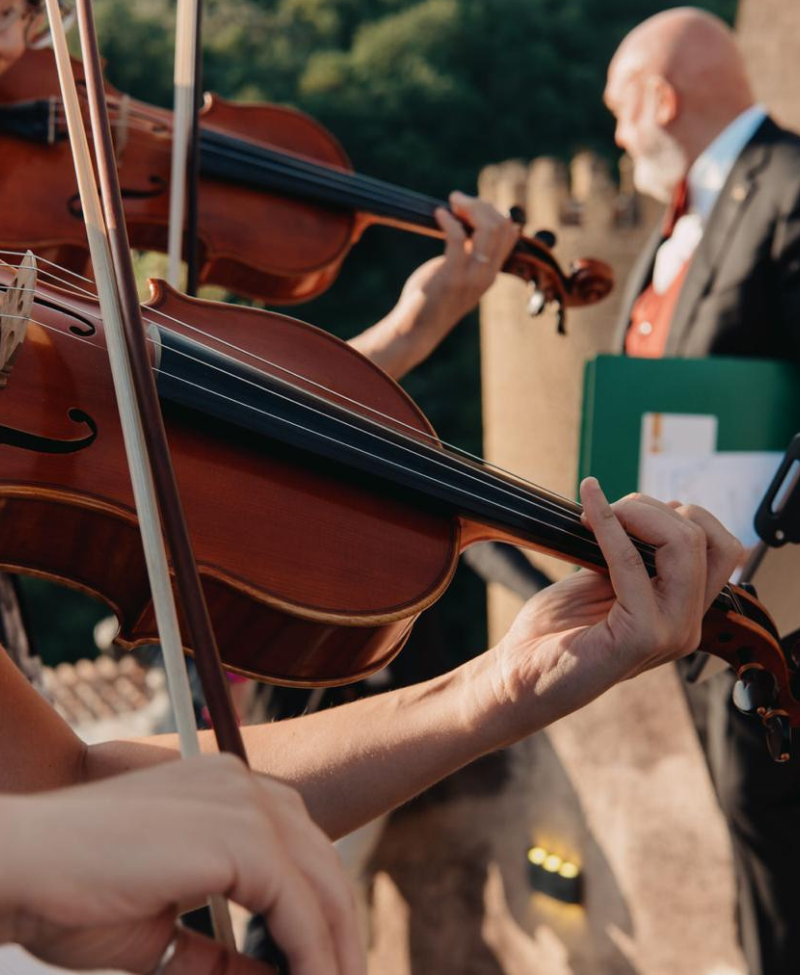 intrattenimento musica